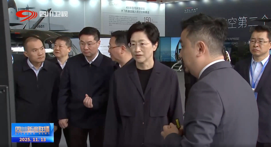 全国首个!这一新机构,正式成立 推动低空经济规模化发展